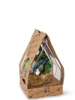 Dewdrop Window Bird Feeder -Backyard Bloomers 8609061 4444 tif