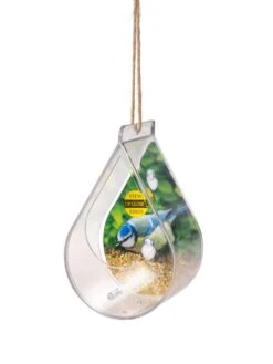 Dewdrop Window Bird Feeder -Backyard Bloomers 8609061 4447 tif