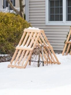 Cedar Shrub Guard -Backyard Bloomers 8609071 3531 cedar shrub guard