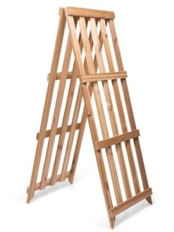 Cedar Shrub Guard -Backyard Bloomers 8609071 5061