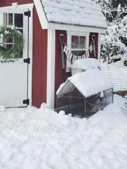 Chicken Wire Crop Coop -Backyard Bloomers 8609080 03IN tif