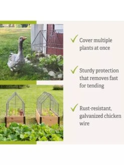 Chicken Wire Crop Coop -Backyard Bloomers 8609080 2