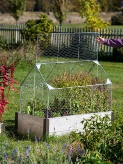 Chicken Wire Crop Coop -Backyard Bloomers 8609080 4024