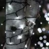 Solar LED String Lights, Lightup225™ -Backyard Bloomers 8609126 02V tif 1