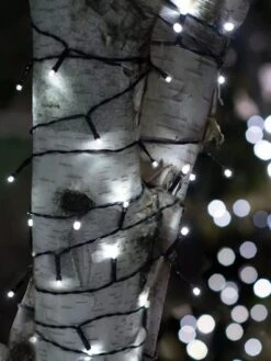 Solar LED String Lights, Lightup125™ -Backyard Bloomers 8609126 02V tif