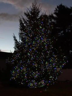 Solar LED String Lights, Lightup125™ -Backyard Bloomers 8609126 06V tif