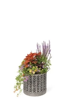 Galvanized Grow Bag Planter 12" -Backyard Bloomers 8609177 0368 tif