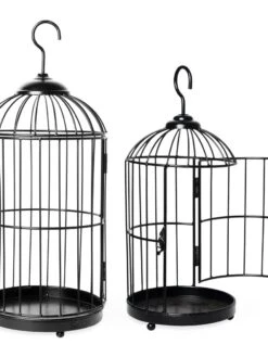 Hanging Birdcage Planter Set -Backyard Bloomers 8609181 02V tif