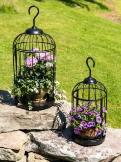 Hanging Birdcage Planter Set -Backyard Bloomers 8609181 0374 tif