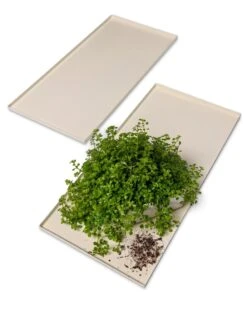 Oslo Grow Light Garden Trays, Set Of 2 -Backyard Bloomers 8609187 7686 tif
