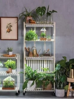 Oslo 4-Tier LED Grow Light Garden -Backyard Bloomers 8609188 4118 tif