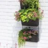 Wire Wall Pockets Vertical Gardens 1 Wire Wall Pockets Vertical Gardens -Backyard Bloomers 8609201 0349 tif