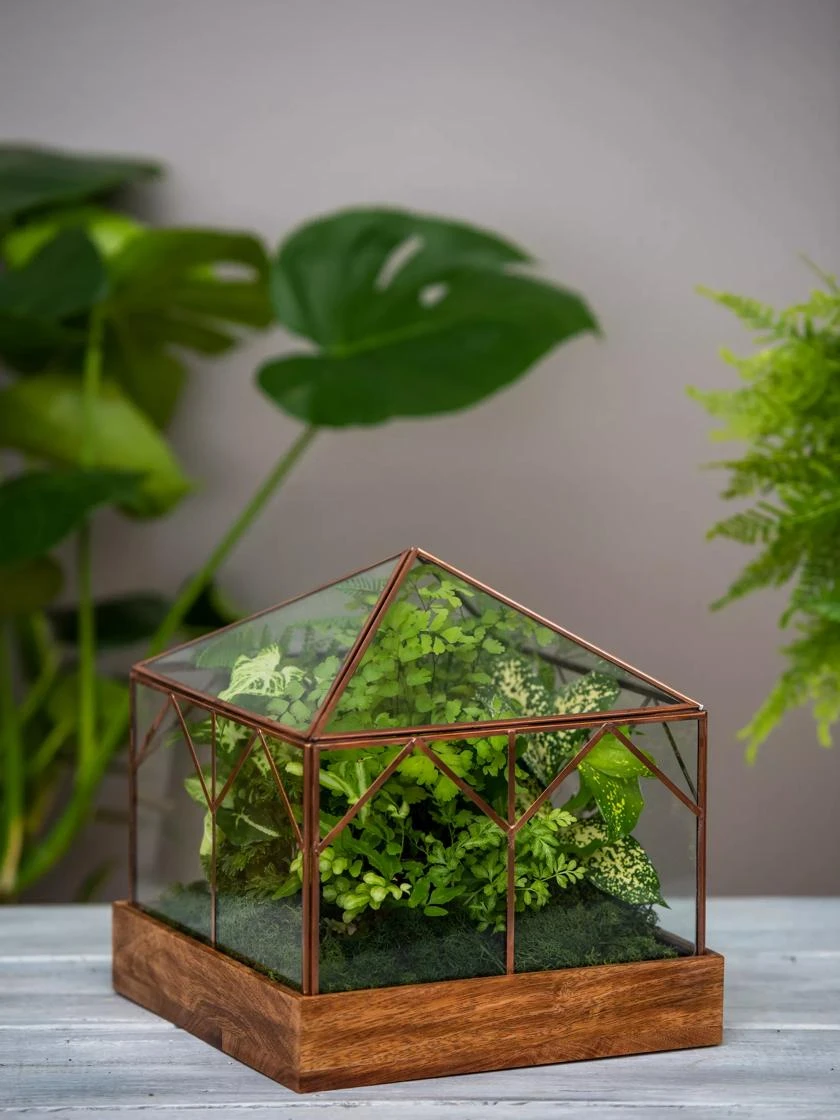 Art Decco Copper And Glass Terrariums 3 Art Decco Copper And Glass Terrariums