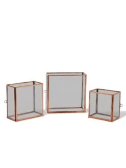 Copper And Glass Terrariums, Set Of 3 7 Copper And Glass Terrariums, Set Of 3 -Backyard Bloomers 8609212 0851 tif
