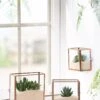 Copper And Glass Terrariums, Set Of 3 -Backyard Bloomers 8609212 2964 tif
