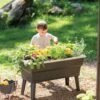 Calipso 3-in-1 Kids Gardening Self-Watering Planter Kit -Backyard Bloomers 8609217 0333 tif