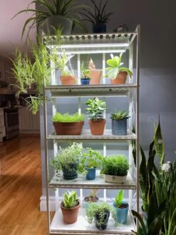 Oslo 4-Tier LED Grow Light Garden -Backyard Bloomers 8609220 03IN tif