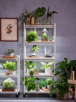 Oslo 4-Tier LED Grow Light Garden -Backyard Bloomers 8609220 4116 tif