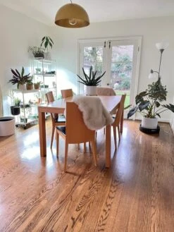 Oslo 2-Tier LED Grow Light Garden, 2 Fixtures -Backyard Bloomers 8609221 01IN tif