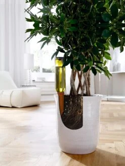 Hydro Wine Container Watering System, Set Of 4 -Backyard Bloomers 8609224 04V tif