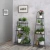 Modern Metal Plant Shelves 1 Modern Metal Plant Shelves -Backyard Bloomers 8609229 7614 tif