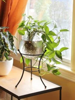 Achla Designs Multi Use Stand 11 Achla Designs Multi Use Stand -Backyard Bloomers 8609343 01v achla designs multi use stand