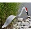 Florida Dancing Birds®, Sand Hill Crane 2 Florida Dancing Birds®, Sand Hill Crane -Backyard Bloomers 8609444 01v florida dancing birds sand hill crane