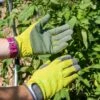 Garden Works Artisan™ Gloves -Backyard Bloomers 8609445 0364 tif