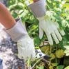 Garden Works Mid Cuff™ Gloves -Backyard Bloomers 8609447 0118 tif