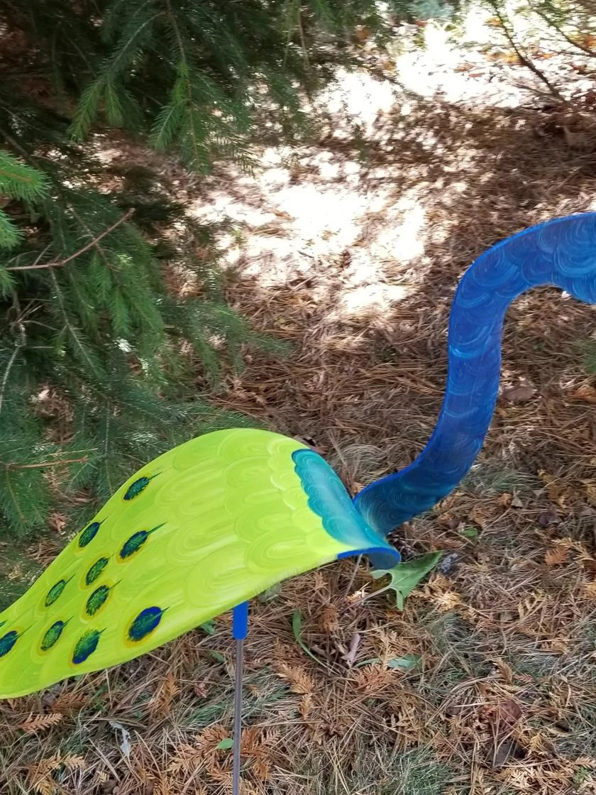 Florida Dancing Birds®, Peacock 3 Florida Dancing Birds®, Peacock