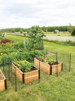 6 Panel Critter Fence With Gate -Backyard Bloomers 8609844 8457 tif