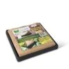 Jute Microgreen Starter Set -Backyard Bloomers 8609870 8645 jute micgrogreens starter set tif