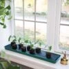 Self-Watering Windowsill Tray -Backyard Bloomers 8609873 9009 tif