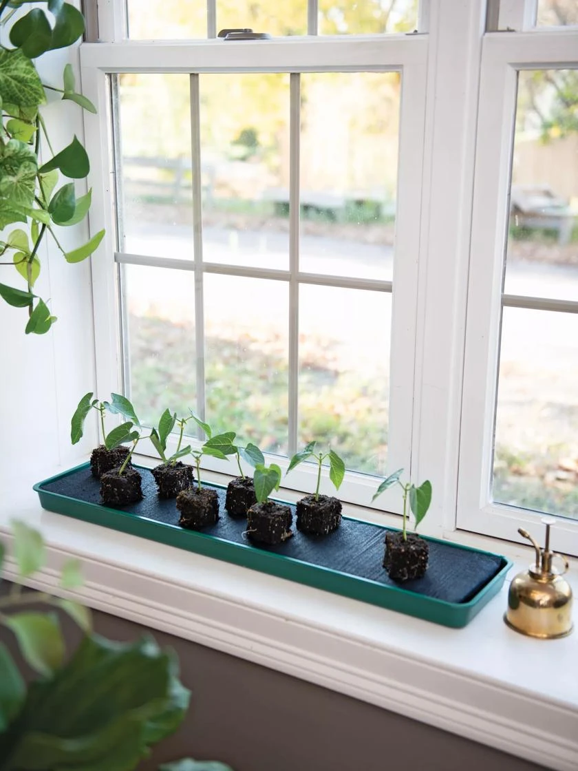 Self-Watering Windowsill Tray 3 Self-Watering Windowsill Tray
