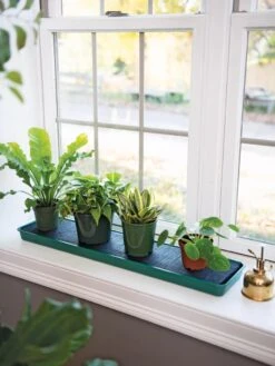 Self-Watering Windowsill Tray 9 Self-Watering Windowsill Tray -Backyard Bloomers 8609873 9011 tif