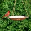 Copper Hanging Birdbath -Backyard Bloomers 8609880 02V copper hanging birdbath