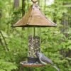 Palazzo Bird Feeder 2 Palazzo Bird Feeder -Backyard Bloomers 8609895 01v palazzo bird feeder