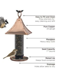 Palazzo Bird Feeder 7 Palazzo Bird Feeder -Backyard Bloomers 8609895 03v