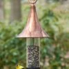 Castella Bird Feeder 1 Castella Bird Feeder -Backyard Bloomers 8609901 01v castella bird feeder