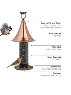 Castella Bird Feeder 7 Castella Bird Feeder -Backyard Bloomers 8609901 03v