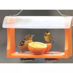 Birds Choice™ Oriole Feeder -Backyard Bloomers 8610152 04V tif