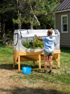 VegTrug®Patio Garden Greenhouse Cover Kit -Backyard Bloomers 8610172 1268