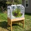 Compact VegTrug® Greenhouse Cover Kit -Backyard Bloomers 8610173 8594 compact vegtrug greenhouse cover kit