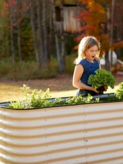 Birdies™ Modular Metal Raised Bed, Tall -Backyard Bloomers 8610174 5015 tif