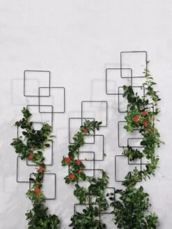 Building Blocks Wall Trellis, 45" 8 Building Blocks Wall Trellis, 45" -Backyard Bloomers 8610183 5811 tif