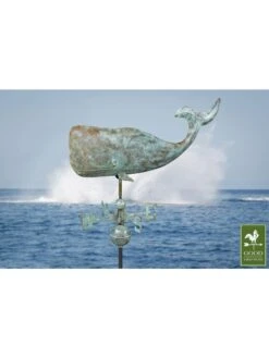 Whale Weathervane -Backyard Bloomers 8610226 01v
