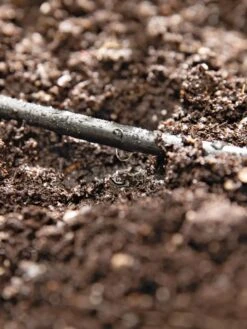 Raised Bed Drip Line Irrigation Kit -Backyard Bloomers 8610231 8478 tif