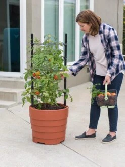 Gardener’s Victory Self-Watering Planter Garden Kit 12 Gardener’s Victory Self-Watering Planter Garden Kit -Backyard Bloomers 8610239 06002 tif