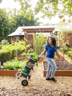 Mod Hod Trolley With Teal Mod Hods -Backyard Bloomers 8610240 0070 tif