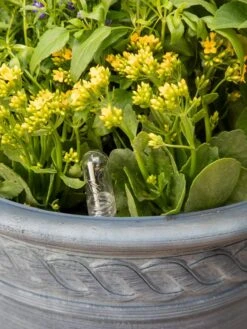 Adjustable Self-Watering Insert For Pots And Planters -Backyard Bloomers 8610250 0010 tif